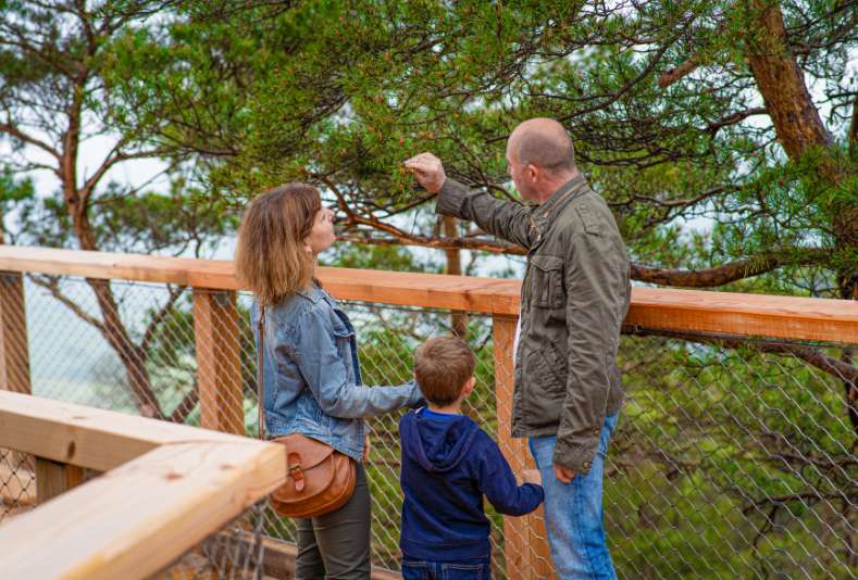 Une famille explore la cime des arbres, que vous pourrez approcher en visitant le Chemin des Cimes.