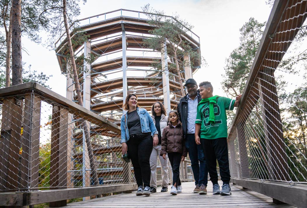 A family hikes along the Treetop Walk Alsace