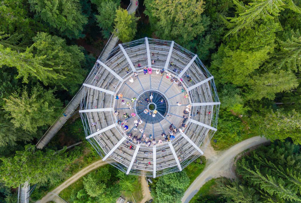 Der Baumturm ermöglicht seinen Gästen einen völlig neuen Blickwinkel auf den Wald
