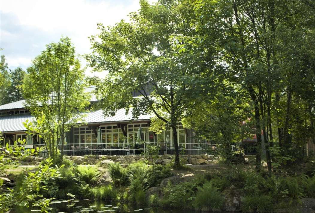 Das Café Eisemann liegt idylisch direkt neben einem kleinen Teich am Ausgang des Baumwipfelfpad Bayerischer Wald