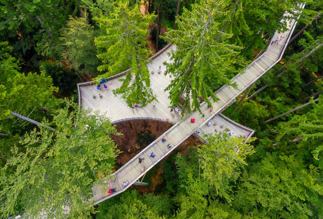 Dřevěná plošina o rozloze 270 m2 slouží jako odpočívadlo pro chvíle relaxace uprostřed korun stromů Bavorského lesa.