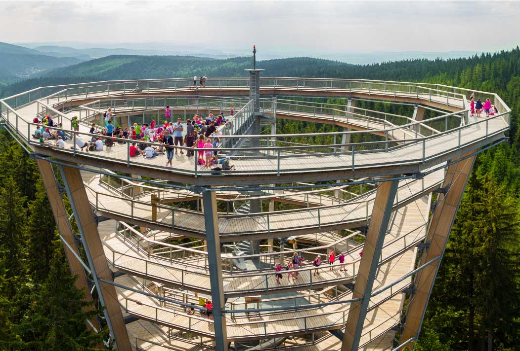 Treetop Walk of the Krkonoše Mountains in Janské Lázně from the roots of the trees to the treetops