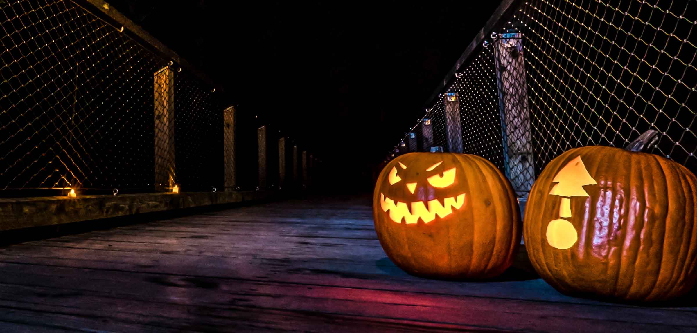 Halloween auf dem Baumwipfelpfad