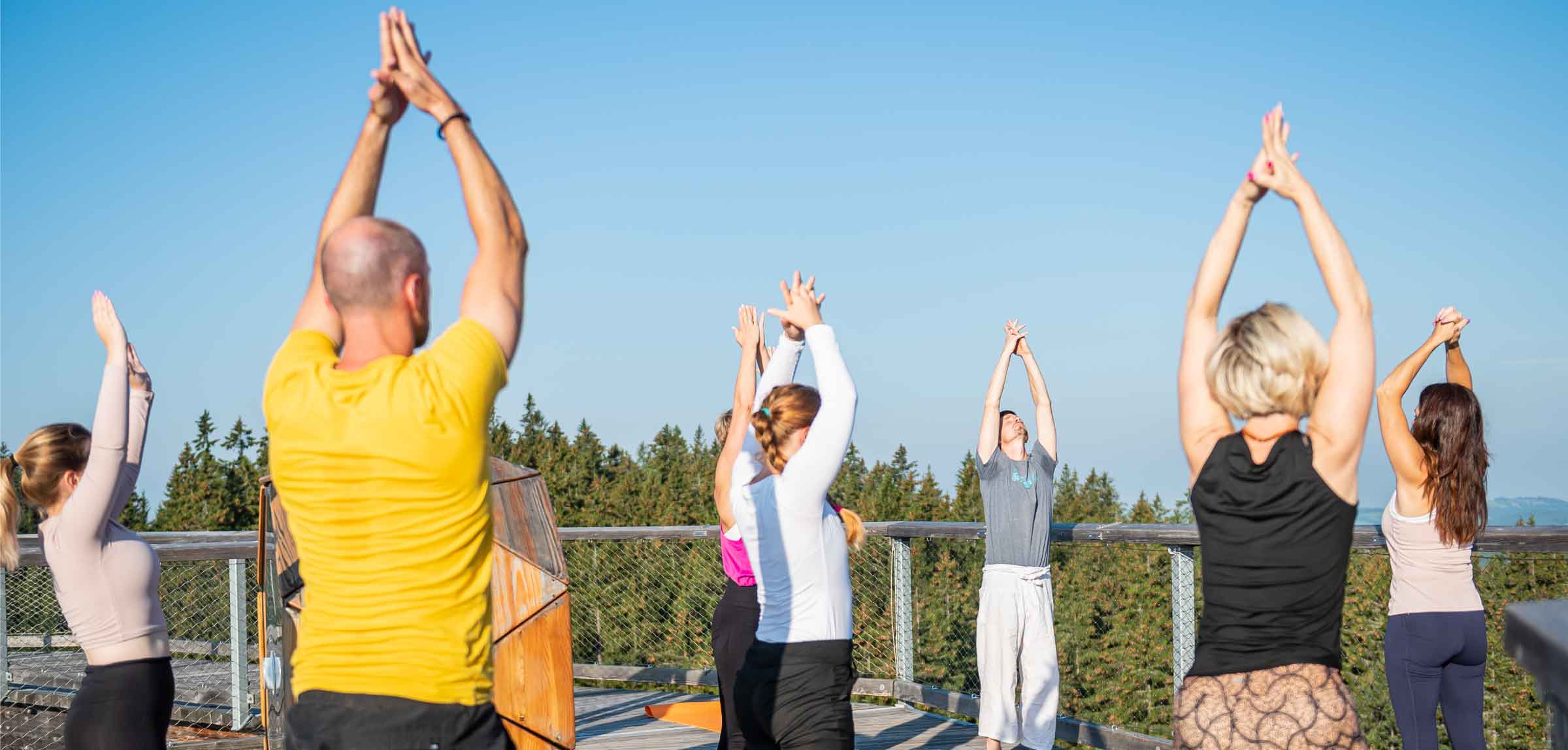 Yoga on Treetop walk