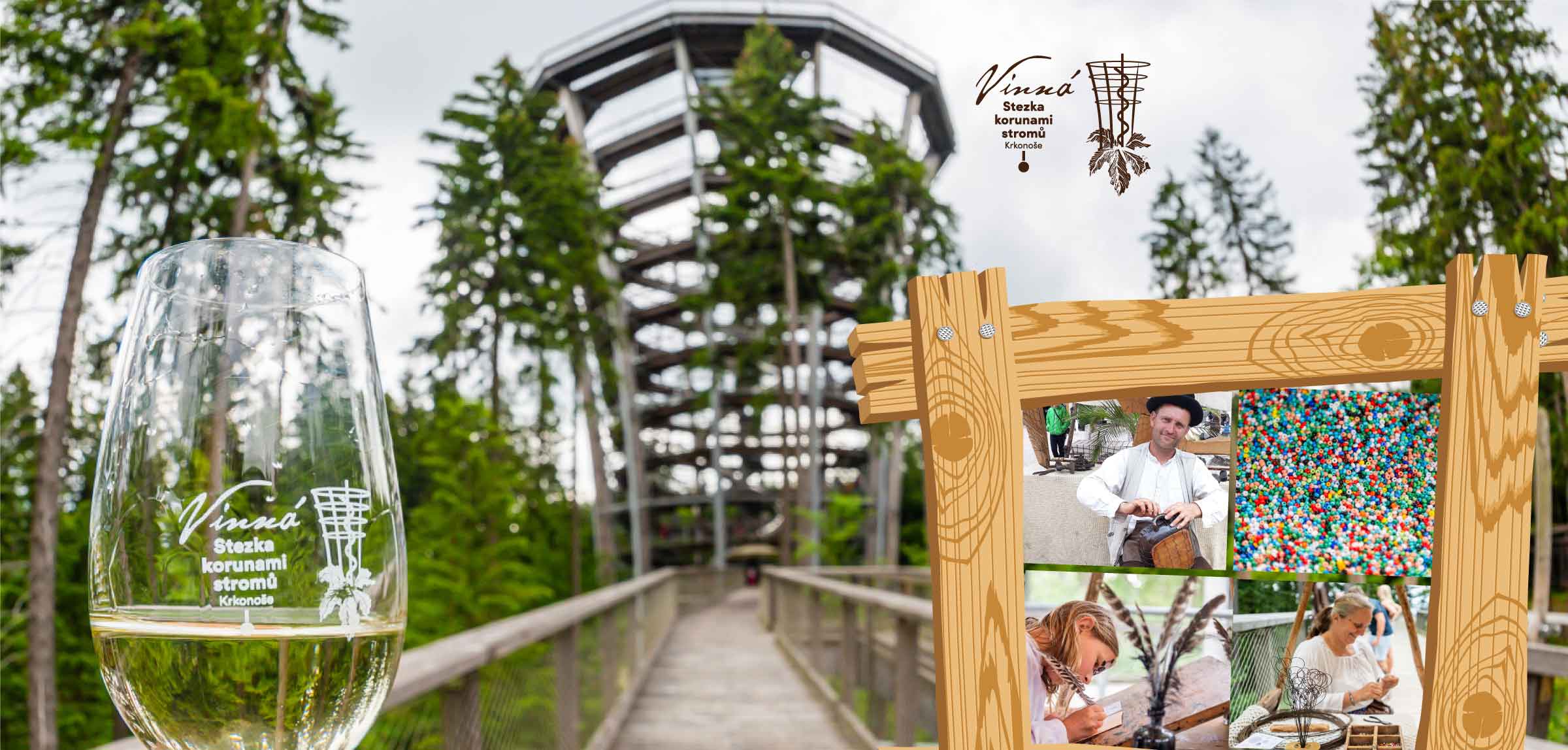 Wine Treetop walk and craft market