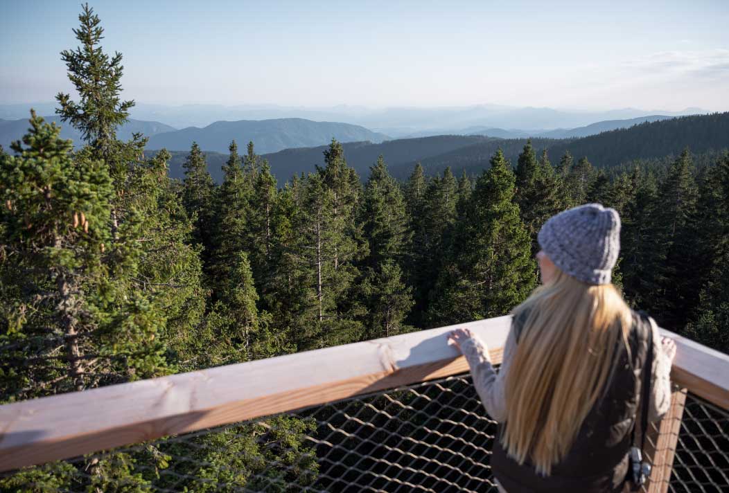 On the way, you will get to know the Pohorje Mountains from a bird's eye view