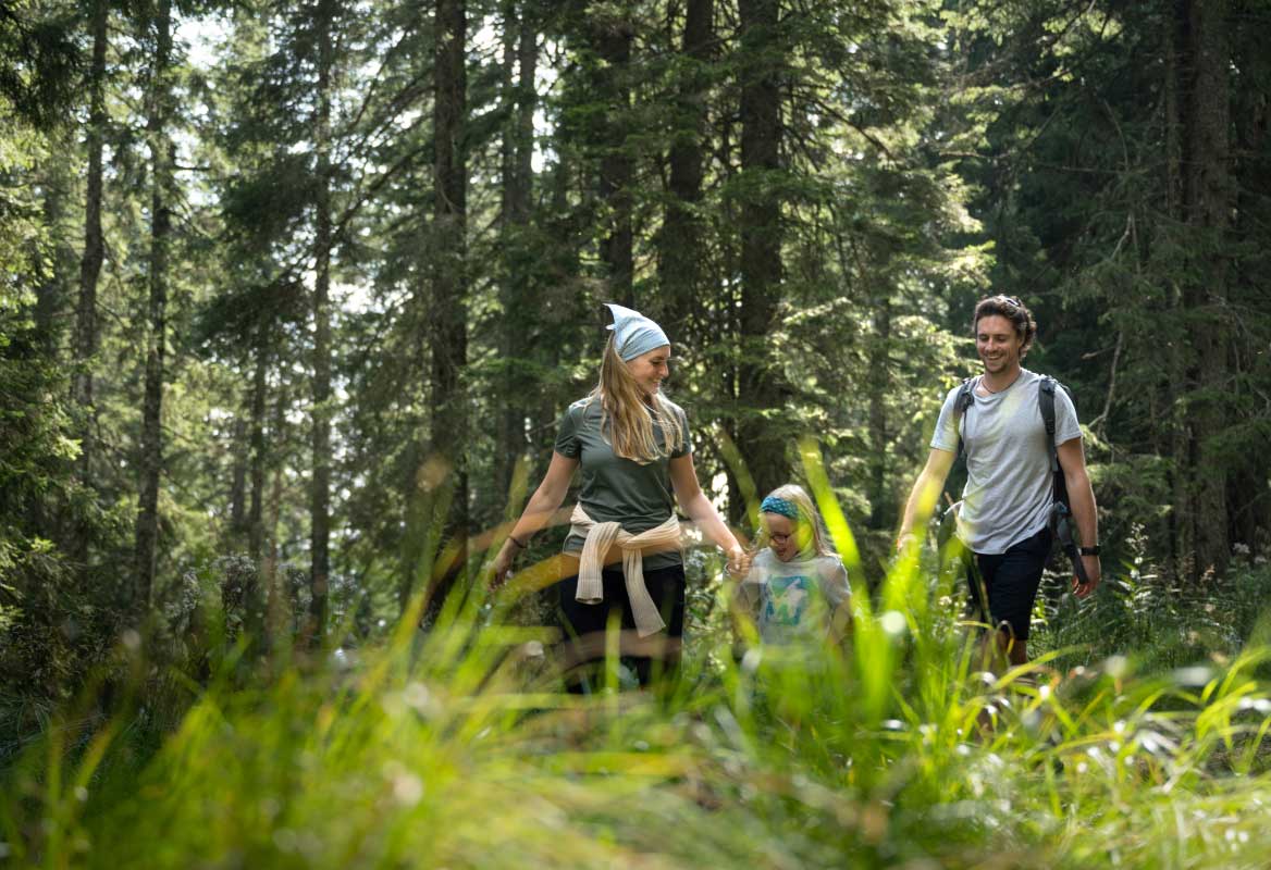 Marked trails, suitable for hikers of all generations, take you to Lovreniška jezera, Ribniška koča, Osankarica or Črni jezera
