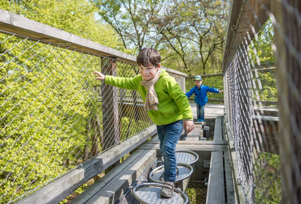 Kinder erleben Spaß und Abenteuer auf den Erlebnisstationen im Baumwipfelpfad Naturerbe Zentrum Rügen.