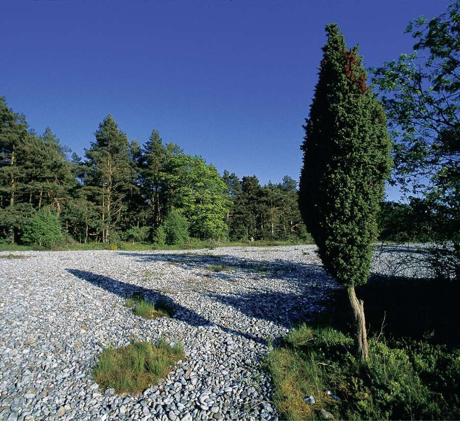 Die Feuersteinfelder auf Rügen stellen ein echte Sehenswürdigkeit auf der Insel Rügen dar.