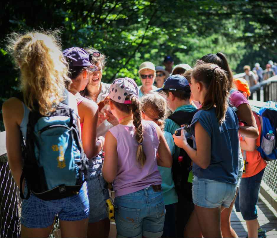 Eine Schulklasse besucht den Baumwipfelpfad und das Umweltbildungszentrum im Naturerbe Zentrum Rügen