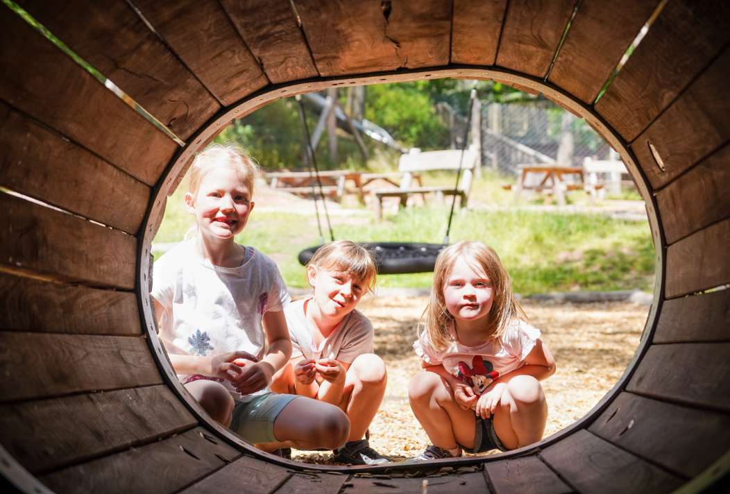 Inside the Adventure Forest, children can playfully discover exciting facts about the environment at the learning stations.