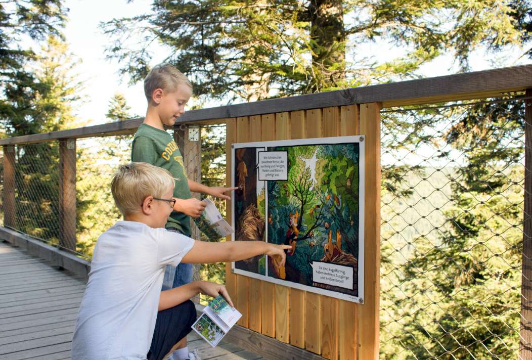 Children discover a lot about flora and fauna during the Comic Rallye on the Treetop Walk.