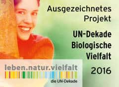 Der Baumwipfelpfad Schwarzwald wurde von der UN-Dekade für die biologische Vielfalt ausgezeichnet.
