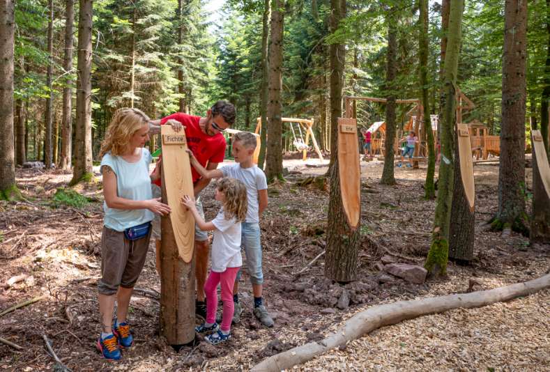 Im Wissenswald lernen Kinder mit ihren Eltern an umweltpädagogischen Stationen spielerisch viel zu ihrer Umwelt.