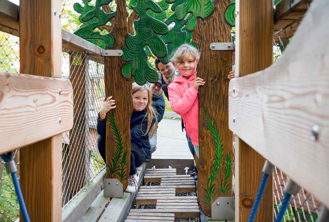The activity stations on the path through the woods fascinate both children and adults.