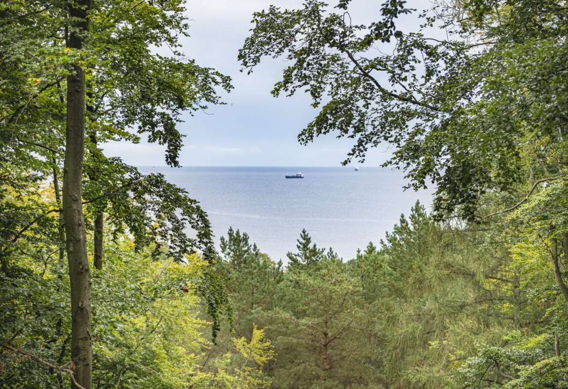 Hiking trail in the forest with a view on the Baltic Sea