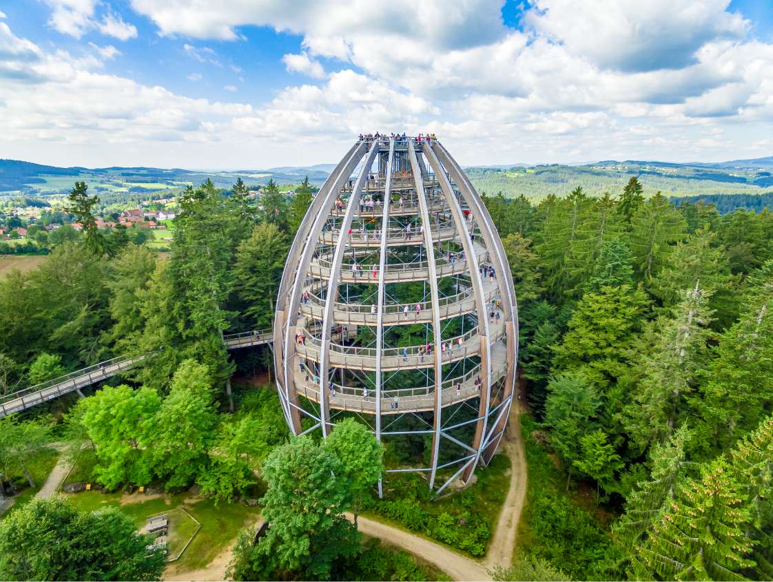 Der Aussichtsturm mit dem Spitznamen Baumei ist der erste Baumwipfelpfad der Erlebnis Akademie AG und befindet sich in Neuschönau.