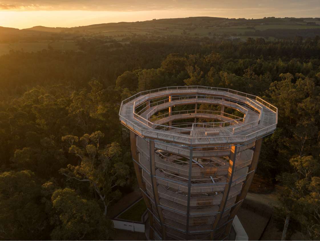 Erlebnis Akademie built its first Treetop Walk in Ireland at Beyond the Trees Avondale