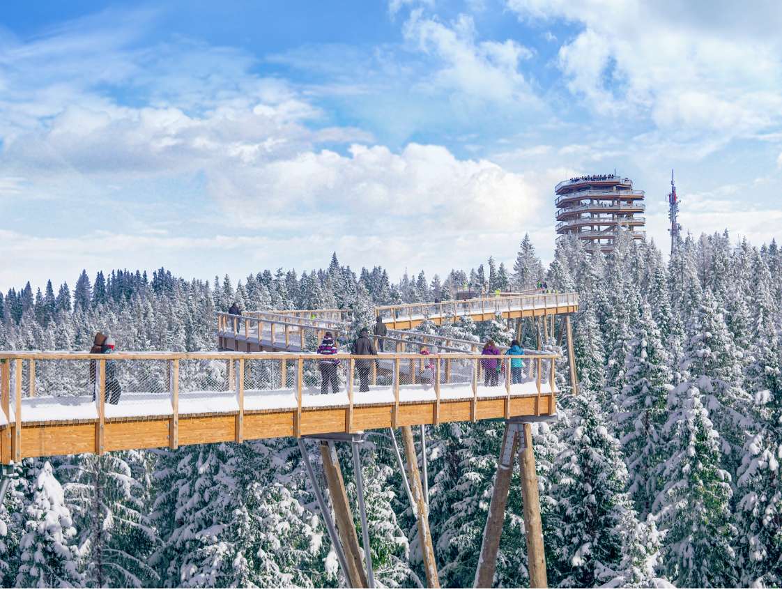 Der Baumwipfelpfad Bachledka befindet sich direkt im Skigebiet mit Blick auf die hohe Tatra.